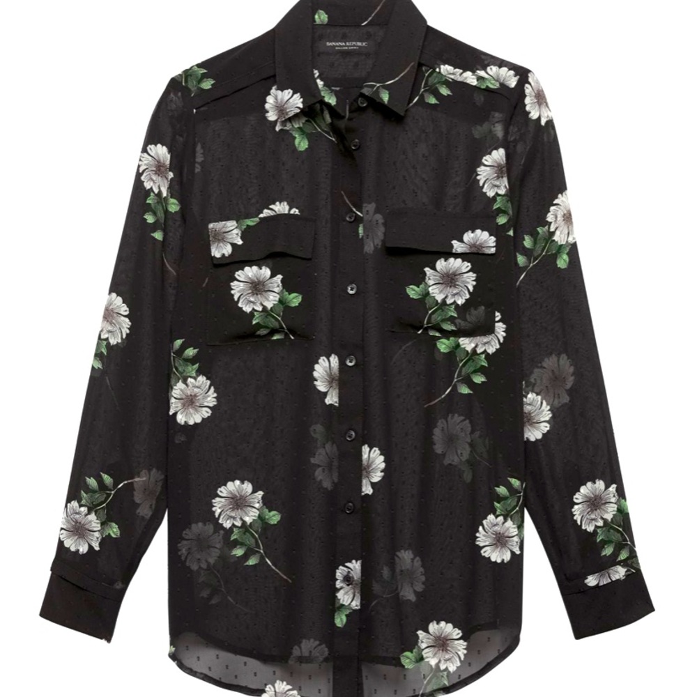 Banana Republic Sheer Blouse